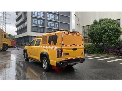 Flooding Control Pickup
